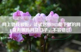 网上借钱被拒，试试这些2022能下款的网贷有哪些网贷口子，不容错过
