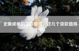 无需成年的贷款软件，这几个贷款值得一试！