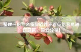 整理一份什么贷款软件不看征信容易通过贷款，简云分享！