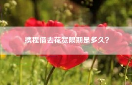 携程借去花宽限期是多久？