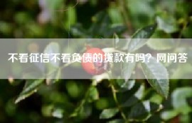 不看征信不看负债的贷款有吗？网问答