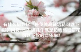 有什么借款软件是负债高征信花可以下款的网贷2022？这几个就是负债高征信花可以下款的网贷2022