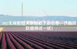 2022无视征信大数据必下款名单，这些贷款值得试一试！