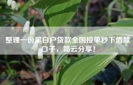 整理一份黑白户贷款全国接单秒下借款口子，简云分享！