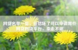 网贷名单一览，征信坏了可以申请哪些网贷网贷平台，拿走不谢