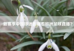 新赛季中国球迷在哪看欧洲足球直播？