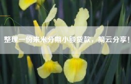 整理一份来米分期小额贷款，简云分享！