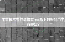 不审核不看征信借款5000马上到账的口子有哪些？