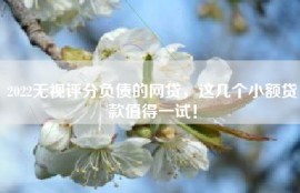 2022无视评分负债的网贷，这几个小额贷款值得一试！