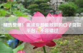 精选整理！黑成炭都能放款的口子贷款平台，不容错过