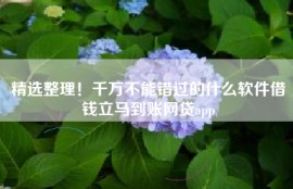 精选整理！千万不能错过的什么软件借钱立马到账网贷app