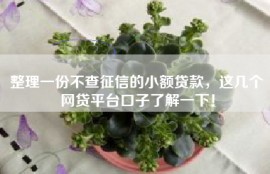 整理一份不查征信的小额贷款，这几个网贷平台口子了解一下！