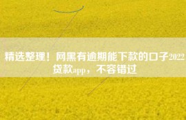 精选整理！网黑有逾期能下款的口子2022贷款app，不容错过
