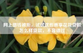 网上借钱被拒，试试这些惠享花花贷款怎么样贷款，不容错过