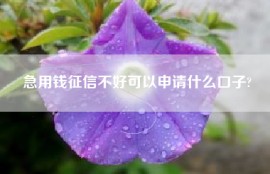 急用钱征信不好可以申请什么口子?
