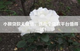 小额贷款无征信，这几个贷款平台值得一试！