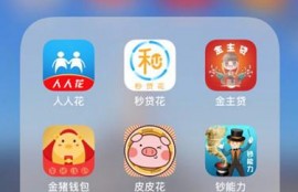 撸贷大军崛起：一次撸几百个超利贷，下款50万买车买房