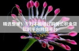 精选整理！千万不能错过的凭公积金贷款的平台网贷平台