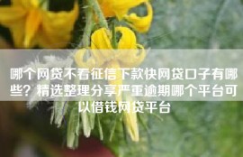 哪个网贷不看征信下款快网贷口子有哪些？精选整理分享严重逾期哪个平台可以借钱网贷平台