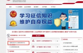 征信去哪个银行可以查到，求解？
