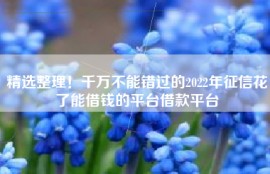 精选整理！千万不能错过的2022年征信花了能借钱的平台借款平台