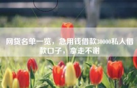 网贷名单一览，急用钱借款30000私人借款口子，拿走不谢