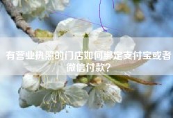 有营业执照的门店如何绑定支付宝或者微信付款？