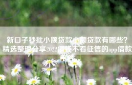 新口子秒批小额贷款小额贷款有哪些？精选整理分享2022借钱不看征信的app借款平台