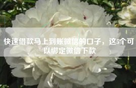 快速借款马上到账微信的口子，这5个可以绑定微信下款