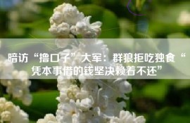 暗访“撸口子”大军：群狼拒吃独食“凭本事借的钱坚决赖着不还”
