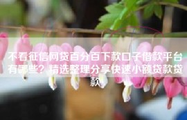 不看征信网贷百分百下款口子借款平台有哪些？精选整理分享快速小额贷款贷款