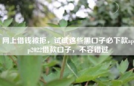 网上借钱被拒，试试这些黑口子必下款app2022借款口子，不容错过