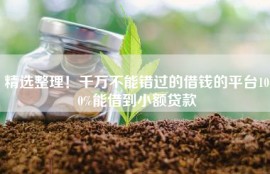 精选整理！千万不能错过的借钱的平台100%能借到小额贷款