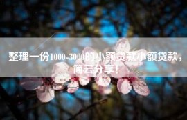 整理一份1000-3000的小额贷款小额贷款，简云分享！