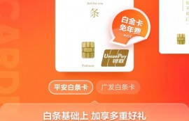 “京东白条”升级为“京东白条卡”，信用付迎来合规化改造？