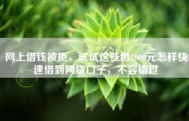 网上借钱被拒，试试这些借2000元怎样快速借到网贷口子，不容错过