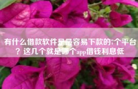 有什么借款软件是最容易下款的7个平台？这几个就是哪个app借钱利息低