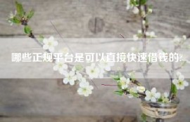哪些正规平台是可以直接快速借钱的?