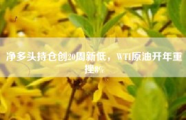 净多头持仓创20周新低，WTI原油开年重挫8%
