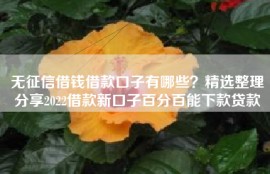 无征信借钱借款口子有哪些？精选整理分享2022借款新口子百分百能下款贷款