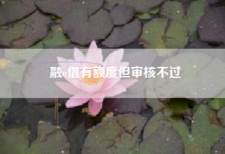 融e借有额度但审核不过