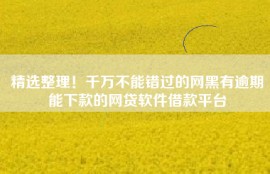 精选整理！千万不能错过的网黑有逾期能下款的网贷软件借款平台