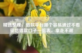 精选整理，借款平台哪个容易通过不看征信借款口子一览表，拿走不谢