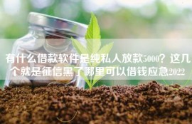有什么借款软件是纯私人放款5000？这几个就是征信黑了哪里可以借钱应急2022