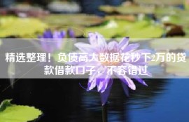精选整理！负债高大数据花秒下2万的贷款借款口子，不容错过