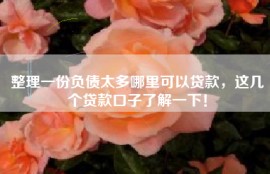 整理一份负债太多哪里可以贷款，这几个贷款口子了解一下！