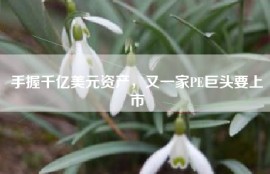 手握千亿美元资产，又一家PE巨头要上市
