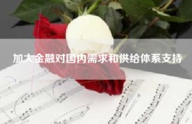 加大金融对国内需求和供给体系支持