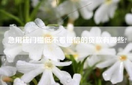 急用钱门槛低不看征信的贷款有哪些?