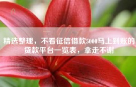 精选整理，不看征信借款5000马上到账的贷款平台一览表，拿走不谢